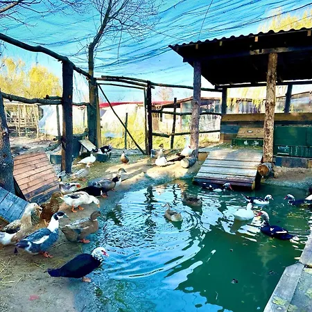 Camping каравана мая