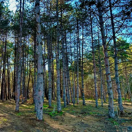 каравана мая Campsite *